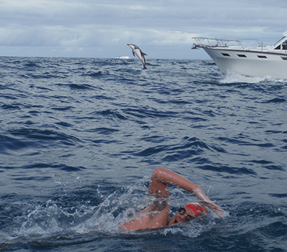 Adam Walker swims with Dolphins